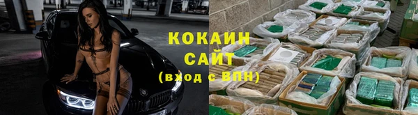 шишки Остров