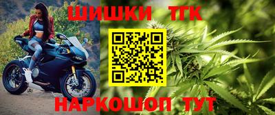 шишки Абакан