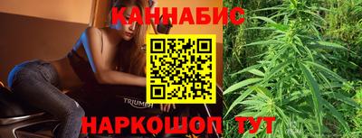 шишки Абакан