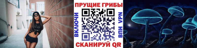 Псилоцибиновые грибы Cubensis  кракен онион  Саки  хочу  
