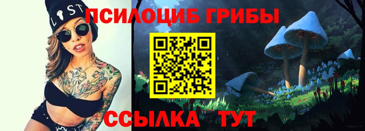 Галлюциногенные грибы GOLDEN TEACHER  Галлюциногенные грибы прущие грибы  Вход с VPN  Саки 